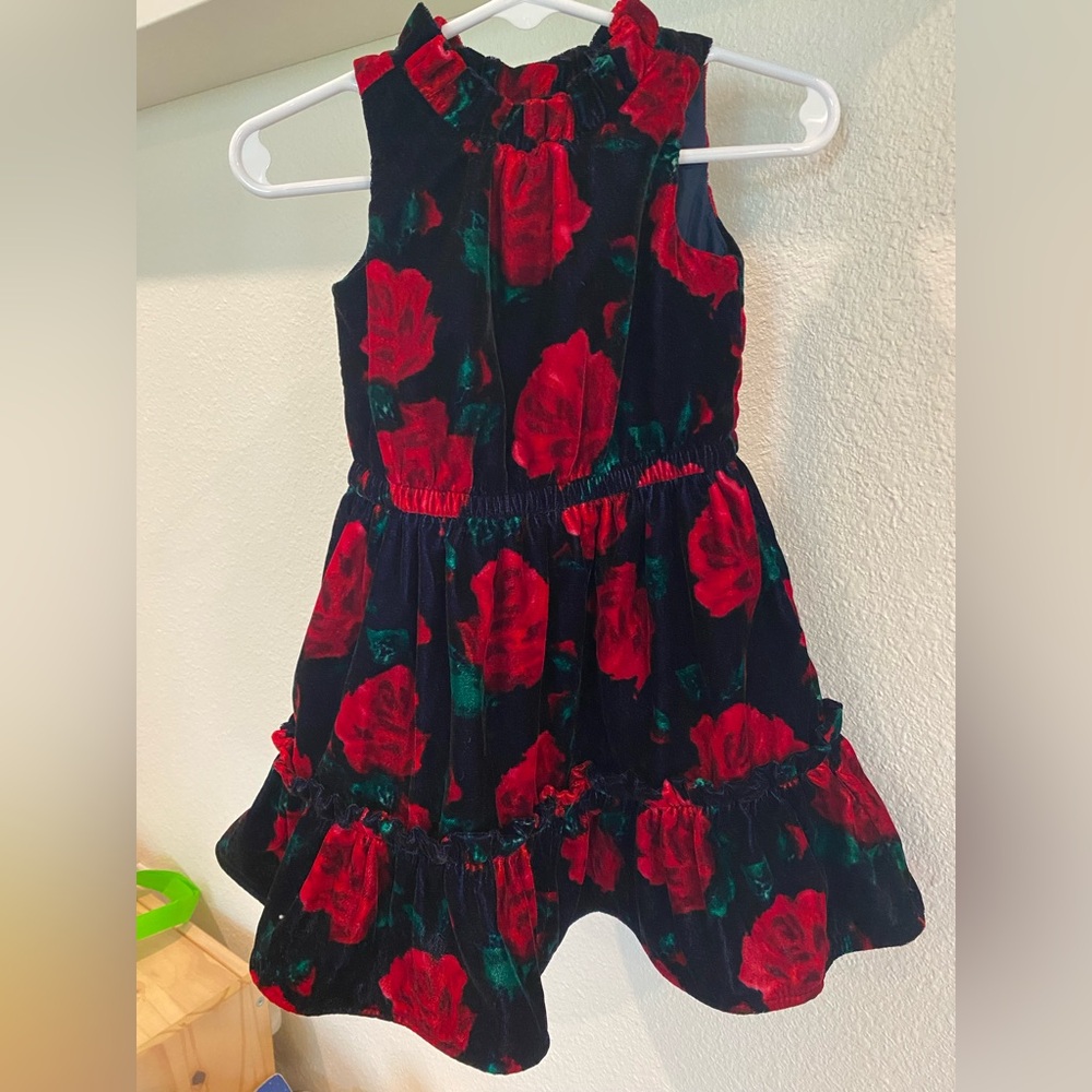 Janie and Jack toddler girl Rose Velvet ballgown party dress 12-18 months